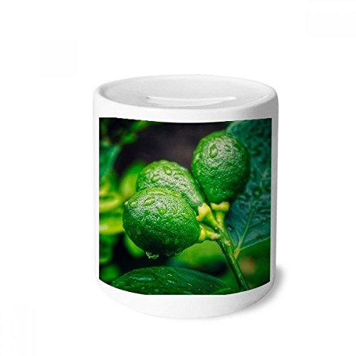 Tirelire enfants et adultes en céramique motif citron, idée cadeau originale