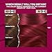 Garnier Hair Color Nutrisse Ultra Color Nourishing Creme, RP1 Dark Intense Pink Red (Cherry Flamingo) Permanent Hair Dye, 2 Count (Packaging May Vary)
