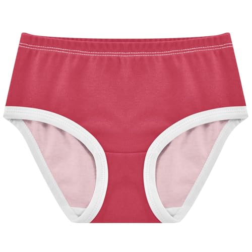 Joisal Funny Toddlers Underwear Floral 2t Cotton Little Girl Panties Cardinal Red Briefs Girls Undies