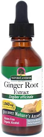Nature's Answer Ginger Root Extract Supplement with Organic Alcohol, 2-Fluid Ounces | Supports Digestion