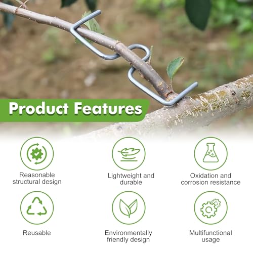 LXYYDS 30 Stück Astspreizer für Obstbäume, (8/10/13CM) M Formiger Astspreizer, Zweigspreize für Gartenbäume, Astklammern Metall Zweigspreize, Astbiegewerkzeug zum Formen von Obstbaumzweigen