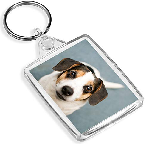 Price comparison product image Destination Vinyl Keyrings Cute Jack Russell Terrier Keyring - IP02 - Dog Puppy Pets Lover's 16290
