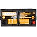 1AUTODEPOT BCI Group 49 Car Battery, 12V 95Ah Size H8 Automotive Battery Premium Maintenance Free AGM Batteries, 900CCA, 160RC