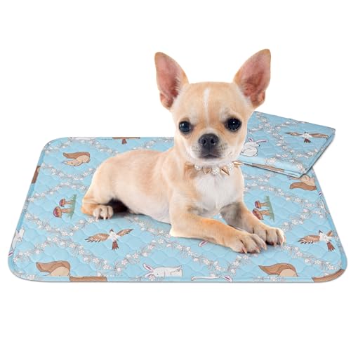 Image of Washable Pee Pads for Dogs, 20'' x 28'' Reusable Puppy Pads, Waterproof Pet Pads for Dog Cat, Absorbing Training Pads, Puppy Potty Pads with Waterproof Bottom (20 inch x 28 inch)