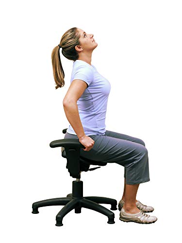 Image of Authentic Pettibon System Therapeutic Wobble Chair for Back Pain Relief, Balance and Stability.
