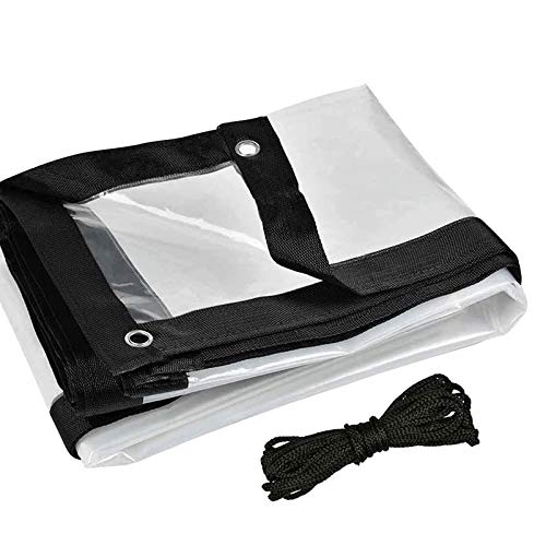 QIAOH Bâche Impermeable Exterieur Transparente 2x4m, Bâche Armée Transparente À L'épreuve des Déchirures Réversible Extérieure avec Œillets Et Bords Renforcés,Transparent Cover