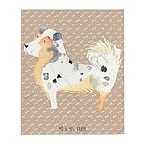 Mr. und Mrs. Panda Kuscheldecke XXL H& Australien Shepherd - Geschenk, Tagesdecke, Spruch, Sprüche, Gemütlich, Decke, Entspannen, Dekoration