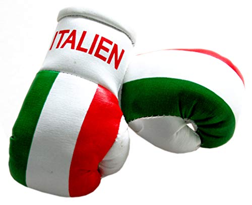 Guantes pequeños de boxeo para retrovisor interior del coche (2 unidades), diseño de Italia