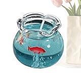 histoire et civilisation cegep sainte foy | Design Paysage Miniature : Cette bougie décorative aquarium miniature un paysage sous verre, où la flamme dansante s'harmonise avec l'esthétique d'un petit aquarium, créant une ambiance apaisante pour décorer un bureau ou un intérieur et favorisant la détente au salon ou au bureau.