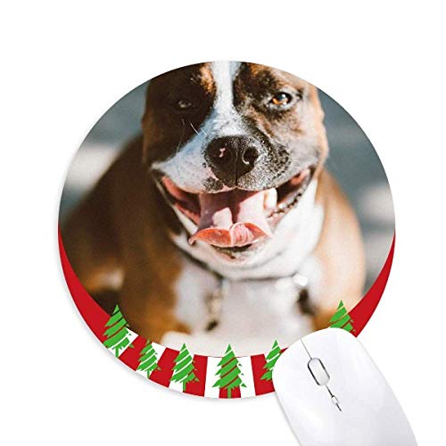 Preisvergleich Produktbild Bulldog Pet Animal Frightful Picture Round Rubber Maus Pad Weihnachtsdekoration