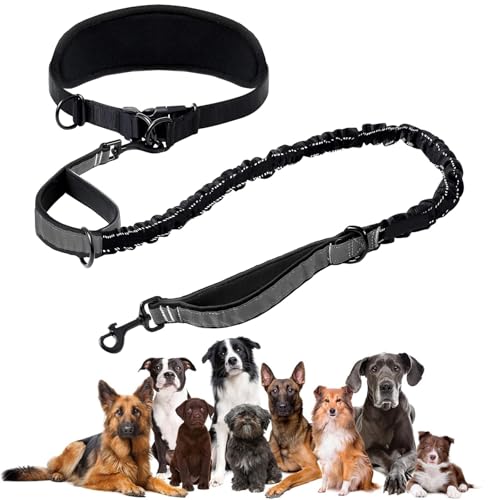 Freihändig Laufleine - Bungeeteil für Joggingleine, Bauchgurt Hundeleine mit Integrierter Zugstopp Hausleine Halsung, für Hunde Aller Größen Robust, mit Dual Griffe, Schwarz Reflektierende Nähte