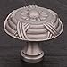 R.K. International RK International RKI Polished Nickel CK 753 PN Large Crosses and Petals Knob