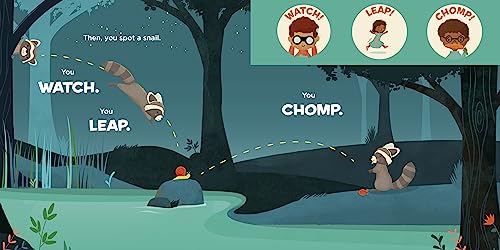 You Are a Raccoon! (Meet Your World) - Image 5