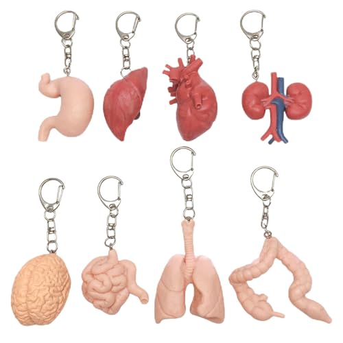 ̉ے郆j[NȃIǨ`L[z_[BGȃfBe[{ȎfނĂ܂BGȒ{ꂽL[z_[łB