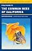 Field Guide to the Common Bees of California: Including Bees of the Western United States (California Natural History Guides)
