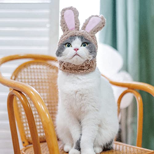 Worparsen Adorable Soft Cat Hat, Rabbit Ears Pet Cat Plush Headwear, Bunny Costume, Ears Warm Dog Ear Cover Winter Hat, Dog Beanie, Festive Christmas Holiday Accessory For Dogs/Cats Grey S #TOP5