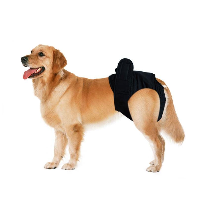 JWDS Pañales para perras y perros perros Ropa interior higiénica grande Mascota Pañales de protección Ropa Interior Perros Cinturón abdominal Negro - L