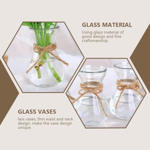 Jarrón de vidrio transparente hidropónico y contenedor de flores para interior 6
