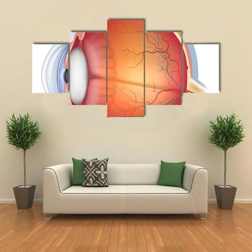 Tableau decoration murale ANLIONE oeil humain premium avec cadre bois