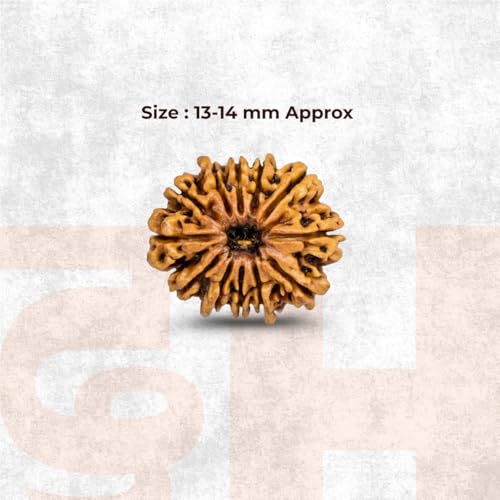 Image of Divine Hindu Original 12 Mukhi (Twelve Face) Indonesia Rudraksha | Dwadash Mukhi Rudraksh Bead for Meditation & Spiritual Growth | Natural Rudraksha for Men & Women | Prayer Bead for Success, Peace