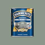 Hammerite - Esmalte Antioxido Liso Pe, 5 l (Paquete de 1)