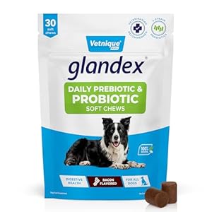 Glandex by Vetnique Daily Probiotics for Dogs with Prebiotics for Optimal Gut Health & Immune Support with Digestive Enzyme & Fiber All Natural Bacon Flavor Soft Chews (30ct Soft Chews)