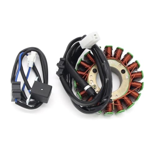 Stator d'allumage haute résistance 21003-1173 pour moto de sport KEF300