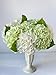 YalzoneMet RUZUQE Light Green Hydrangea Artificial Flowers, 3 Pcs Lifelike Real Touch Latex Hydrangea Fake Flowers, 21 inch Faux Green Flower for Home Wedding Decor Flower Arrangement