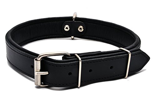 Collare per cani in vera pelle, con imbottitura