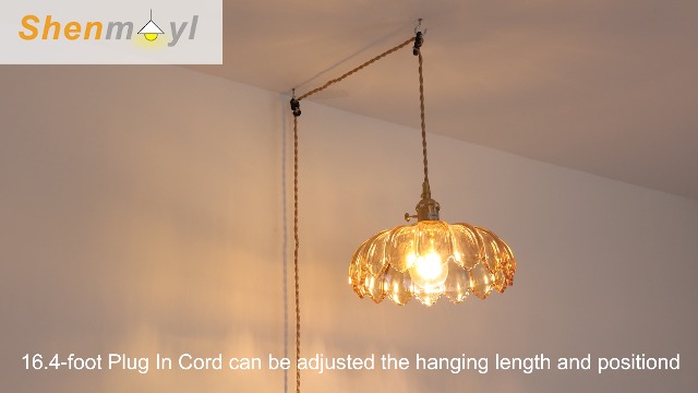 Image of Shenmoyl Plug in Pendant Light Hanging Light Fixtures with Plugin Cord On /Off Switch,Amber Scindapsus Glass Lampshade Brass Pendant Light