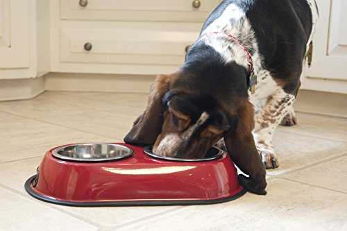 Iconic Pet 4-Cup Color Splash Stainless Steel Double Diner For Dog/Cat, 32-Ounce, Red #TOP3