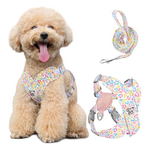 Pawaboo Hundegeschirr mit Hundeleine Set, X-Rahmen Verstellbares Anti Zug Anti-Erstickung Hund Brustgeschirr für Kleine, Mittelgroße Hunde & Welpen, Hundeweste mit Leine, M, Bunter Leopard
