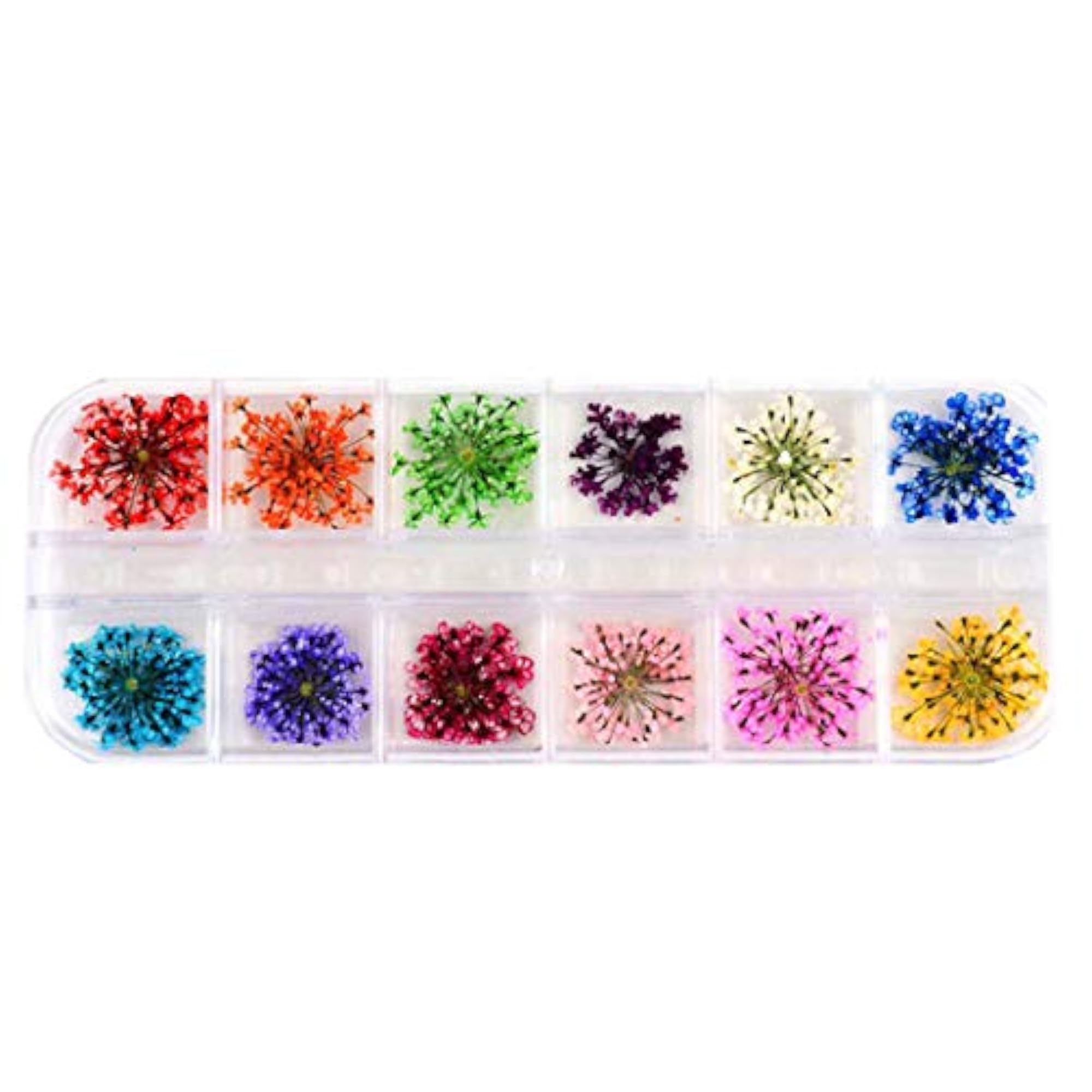 Pressed Flowers Multifunctional DIY Art Craft Materials