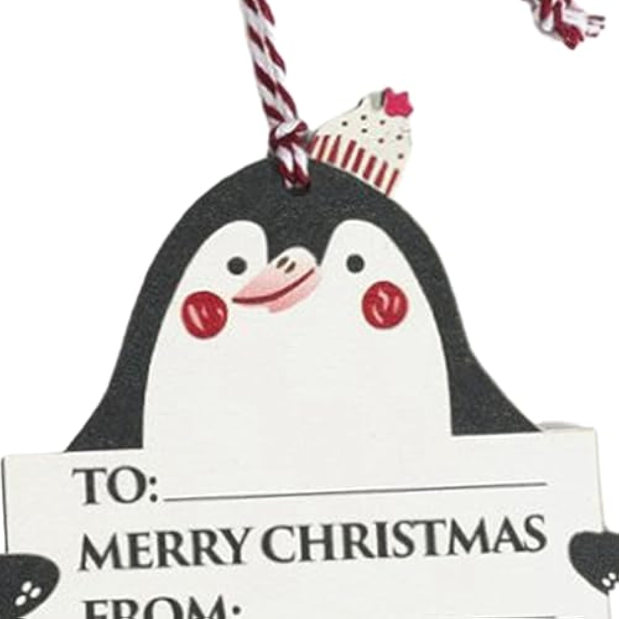 Christmas Penguin Money Holder for Cash