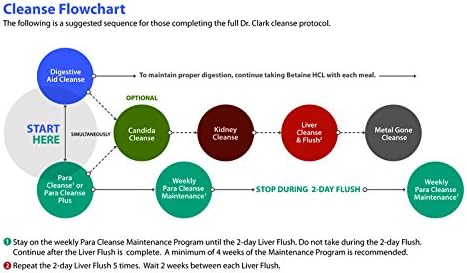 Miniatura 4 de Dr Clark Store Candida - Kit de limpieza con probióticos, 4 suplementos, 380 cápsulas + 1 polvo de 10.58 oz, sin OMG, sin disolventes, sin aditivos,