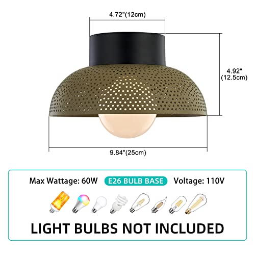 Tehenoo Contemporary Flush Mount Ceiling Light,Dome Metal Shade With Perforated Pattern,Green Ceiling Light Fixture For Kitchen,Hallway,Living Room #TOP2
