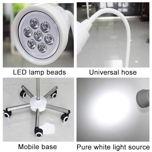 Lampe mobile au sol à LED pour examens médicaux et dentaires - 2