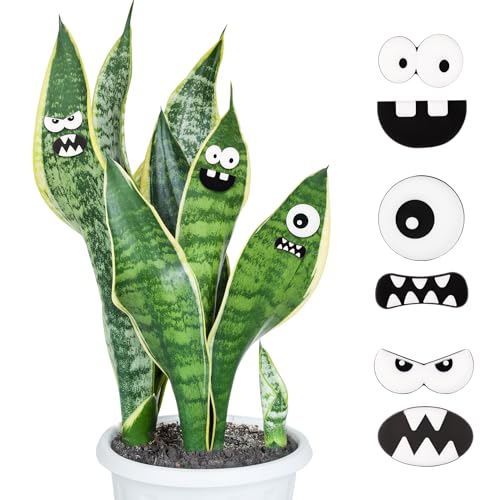6uds Imanes Plantas Plantas en Maceta, Lindos Imanes Plantas Imanes Macetas Planta Interior Casa Accesorios Lindos Divertidos Caras Plantas Decoración para Amantes Plantas en Macetas