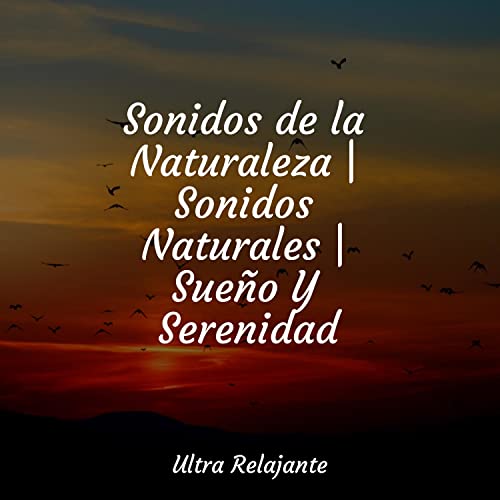 Sonidos de la Naturaleza | Sonidos Naturales | Sueño Y Serenidad di ...