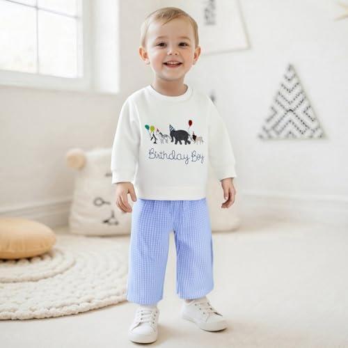 Toddler Baby Boy Birthday Clothes Zoo Animal Birthday Boy Crewneck Sweatshirt and Plaid Pants Set 2Pcs Fall Outfit2