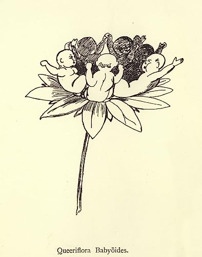 Foto lienzo Queeriflora de Edward Lear 60x90cm ideal para decorar tu salón u oficina con elegancia
