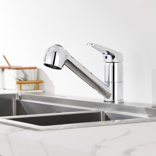 Auralum Hochdruck Wasserhahn Küche Armatur mit 2-Strahl-Brause Ausziehbar | 360° Schwenkbare Küchenarmatur, Einhebelmischer, abnehmbarer Wasserspar-Strahlregler & leckfreie Keramik