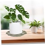 Zoom IMG-1 akoosy vaschetta drenante per piante Zoom IMG-1 akoosy vaschetta drenante per piante