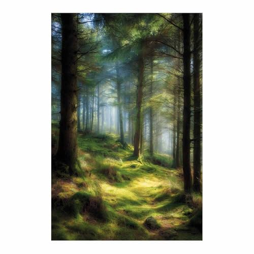 Cuadros de paisajes para paredes vacías: lienzo de bosque con niebla verde de 40x60