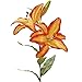 DII 4 Piece Artifical Tiger Lily Silk Flowers for Bridal Bouquet, Home Decoration, DIY, Garden, Office Decor, Centerpiece Décor - Orange