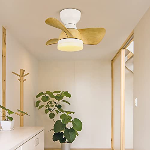 Ventilateur de plafond avec minuteur et éclairage LED pour chambre et salon