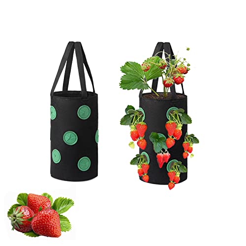 Yhuasia 2 Pièces Fraises Sac Culture Respirant, Sac Plantation Jardin, Conteneurs Culture de Légumes, 12 Trous Non Tissé Plante Panier Suspendu pour Les...