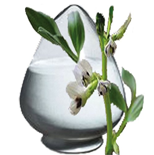 100% Mucuna Pruriens Extract Powder - 99% L-Dopa Powder – Natural Real Food Velvet Bean Seed Kapikachhu Cowitch Cowhage Herbal Benefits: Mood Brain Focus #TOP4