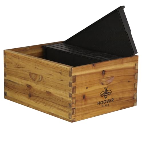 Image of Wax-Coated 10 Frame Beehive - Starter Kit Starter Kit With 5 Frames