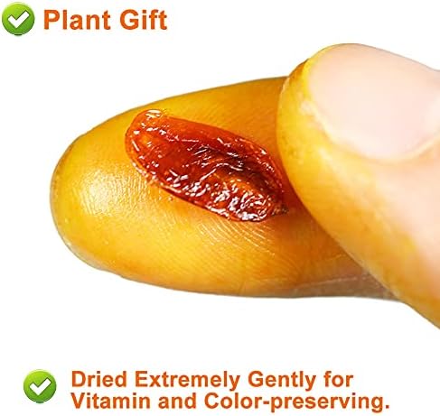 PlantGift Dried Sea Buckthorn Berries 80G/2.82oz 沙棘果 Whole Berries,Dried Extremely Gently, No Additives, High B12 Content, Organic Dried Fruit